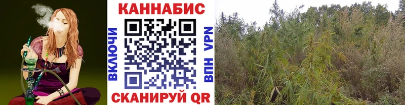 Купить закладку A-PVP  КОКАИН  Лсд 25  Меф  АМФЕТАМИН  Бошки Шишки  ГАШИШ  Унеча