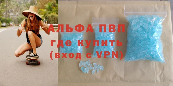шишки Аркадак