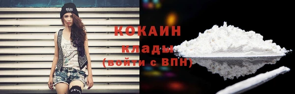 шишки Аркадак