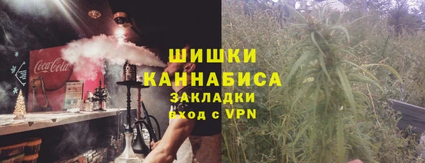 шишки Аркадак