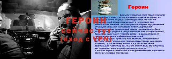 шишки Аркадак