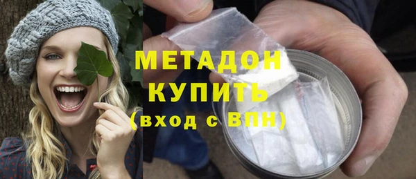 шишки Аркадак
