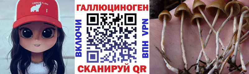 Купить где  Унеча  Галлюциногенные грибы мухоморы 
